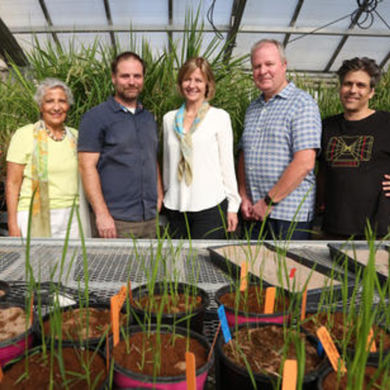 Latest News for October 15th, 2019 CAFE